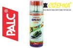 PALC Pianka do SPORTOWYCH TEKSTYLNYCH do czyszczenia do butów