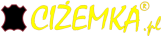 Shoper demo brak logo - strona główna